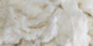 Raw Cotton Waste
