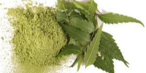 Neem Leaf Extract Powder