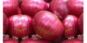 Fresh Red Onion
