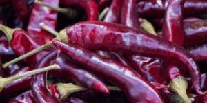 Indian Dry Red Chilli