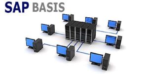 SAP Basis (Business Application Software Integrated Solution) Training