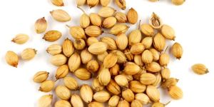 Coriander Seeds