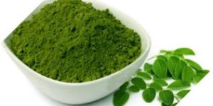 Moringa Leaves Powder