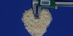IR64 Basmati Rice