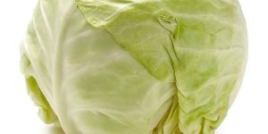 Fresh Cabbage