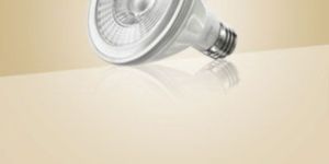 LED Par Light