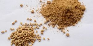 Coriander Powder