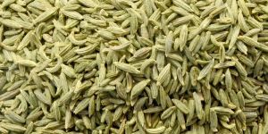 Fennel Seeds