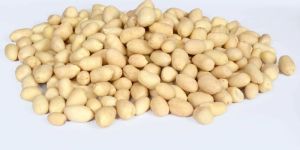 Roasted Blanched Peanuts
