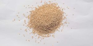 Sesame Seeds