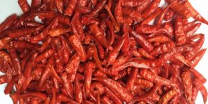 Dried Red Chilli