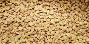 Fenugreek Seeds