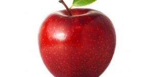 Fresh Apple