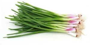 Fresh Spring Onion