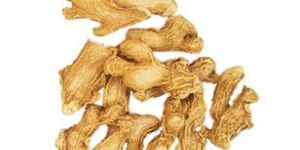 Dry Ginger