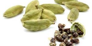 Green Cardamom