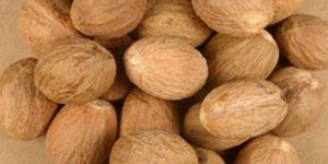Jaiphal (Nutmeg)