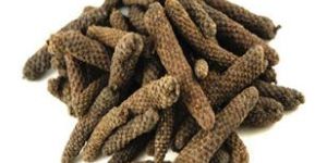 Long Pepper