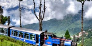 Darjeeling Tour