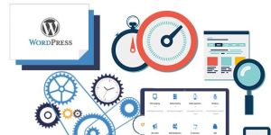 Wordpress Development Services