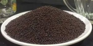 Mustard Seeds