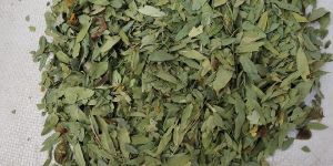 Senna Leaves