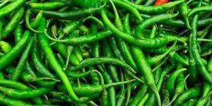 Fresh Green Chilli