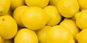 Fresh Lemon