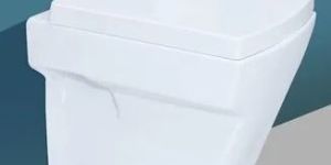 Wall Hung Water Closet