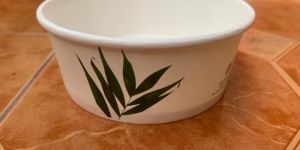 Biodegradable Bowl