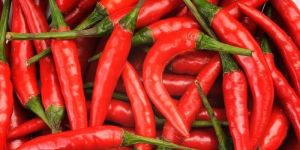 Fresh Red Chilli