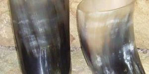 Drinking Horn Tumbler
