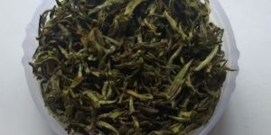 Organic White Tea