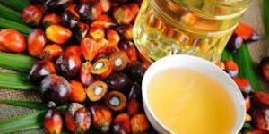 Natural Palm Oil