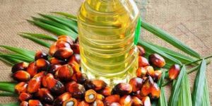 Processed Palm Oil
