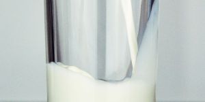 A2 Milk