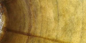 Tank FRP Lining Services