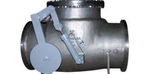 Swing Check Valves