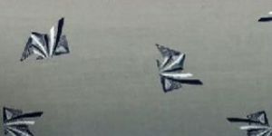 Poplin Shirting Fabric