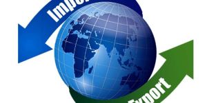 Import Export Business Consultancy Services