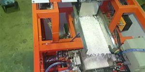 Poha Packing Machine