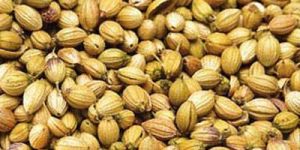 Coriander Seeds