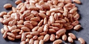 Pinto Beans