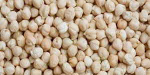 White Kabuli Chickpeas