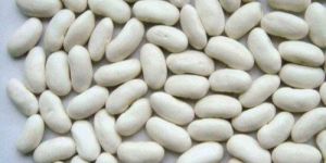 White Kidney Beans