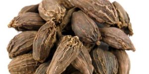 Black Cardamom