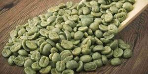 Raw Coffee Beans