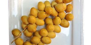 Fresh Dates