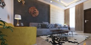 Drawing Room Interior Designing Service