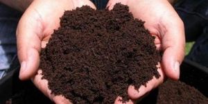 Vermicompost Fertilizer